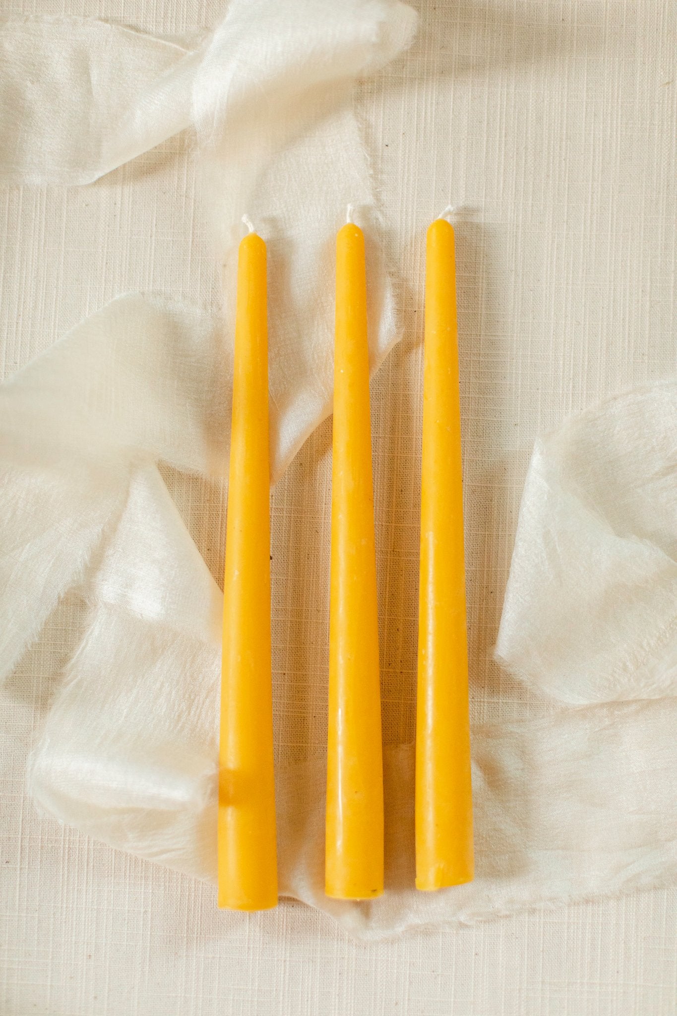 10" Beeswax Taper Candles