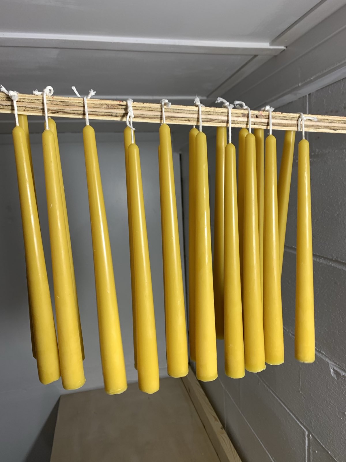 10" Beeswax Taper Candles